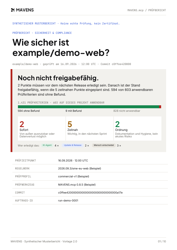 Titelseite des synthetischen Musterberichts: noch nicht freigabefähig, zwei Punkte sofort, fünf zeitnah, zwei zur Ordnung; 594 von 603 anwendbaren Prüfkriterien ohne Befund.